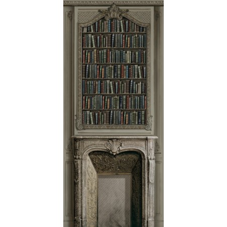 Bronze bookcase and hausmannian fireplace 133cm