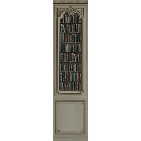 Décor boiserie Haussmannienne bronze bibliothèque 75cm