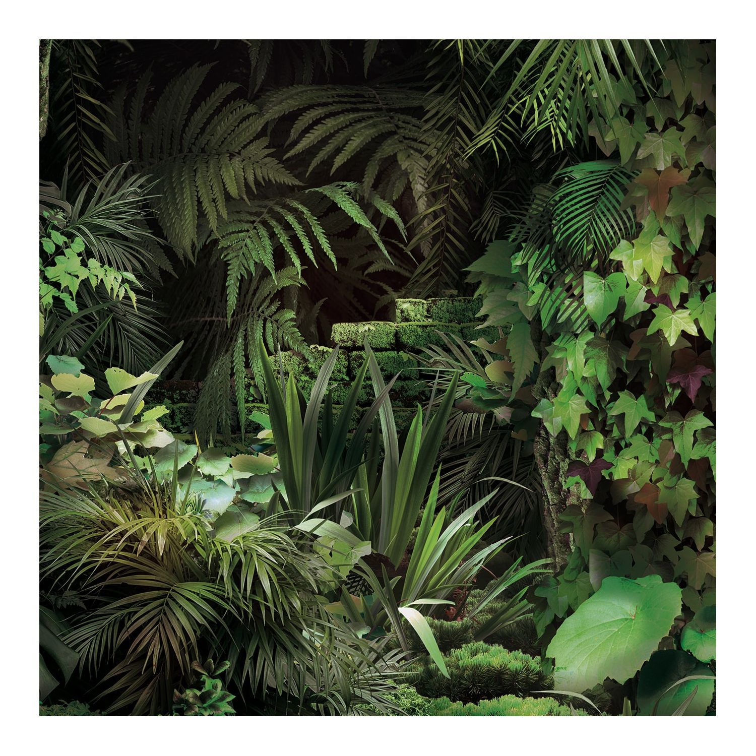 Jungle Trompe L'oeil