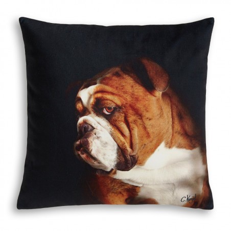 English Bulldog cushion