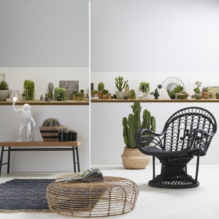 "Cactus shelves panoramic shot" single strip of wallpaper