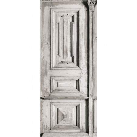 Decor XIXth molded door